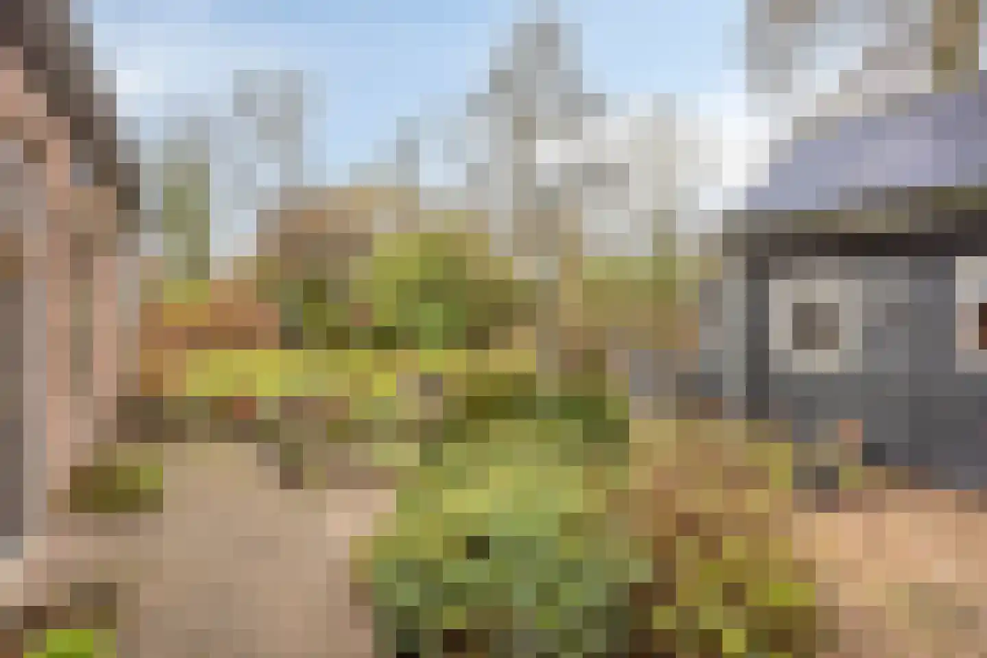 Stallinge 4 Berlicum thumbnail 32