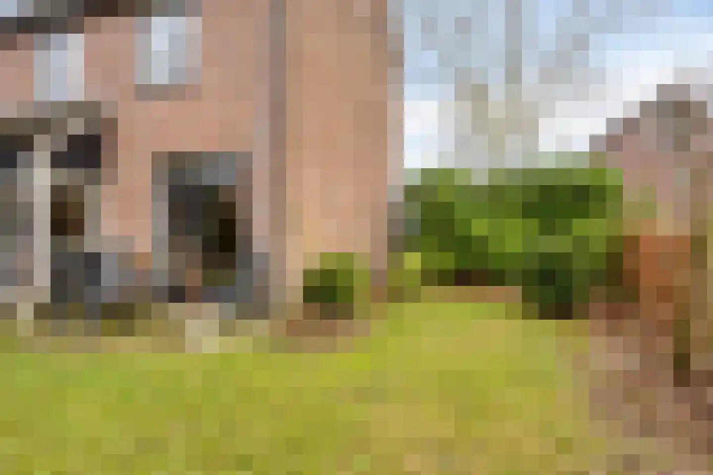 Stallinge 4 Berlicum thumbnail 35