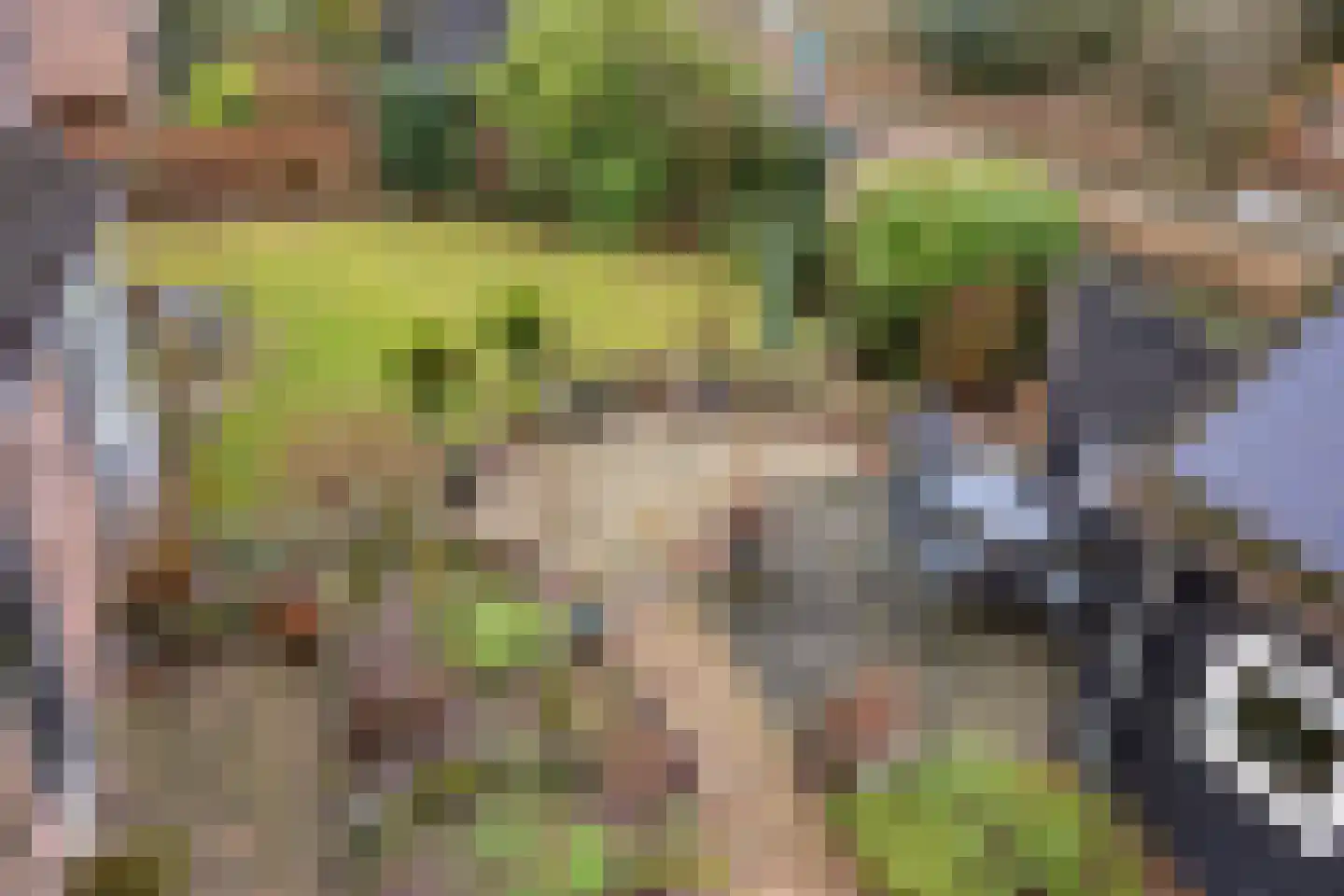 Stallinge 4 Berlicum thumbnail 38