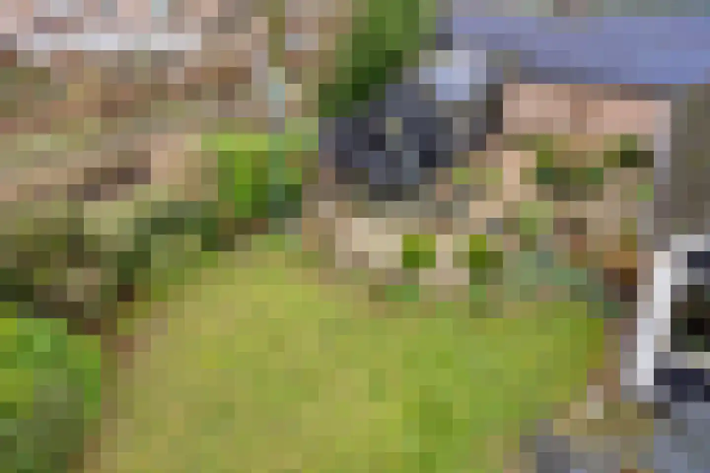Stallinge 4 Berlicum thumbnail 39