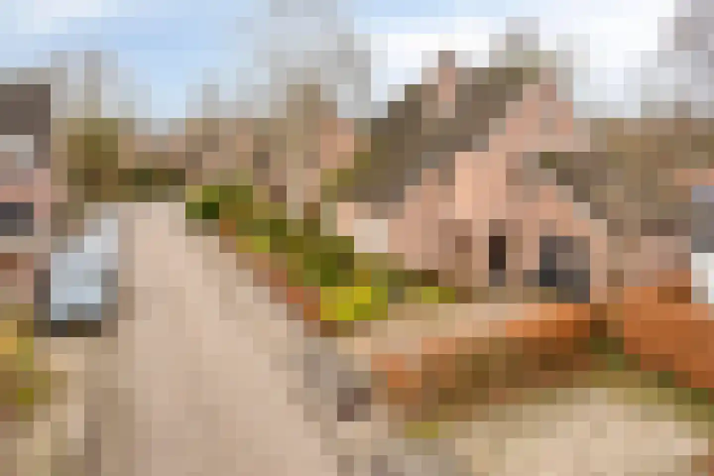 Stallinge 4 Berlicum thumbnail 40