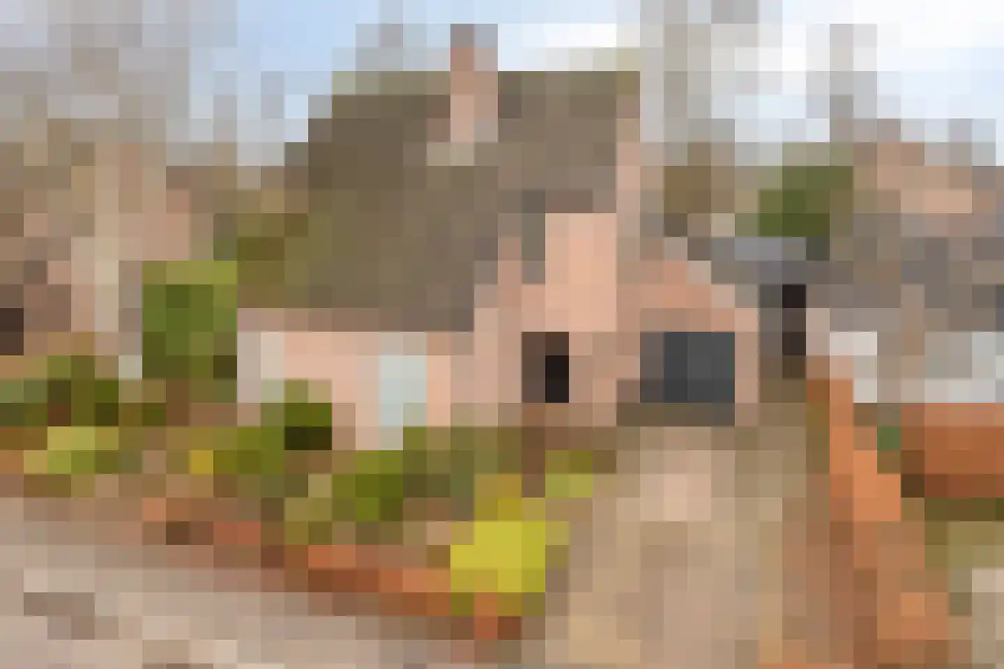 Stallinge 4 Berlicum thumbnail 43