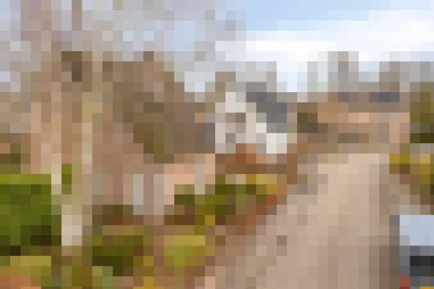 Stallinge 4 Berlicum thumbnail 44
