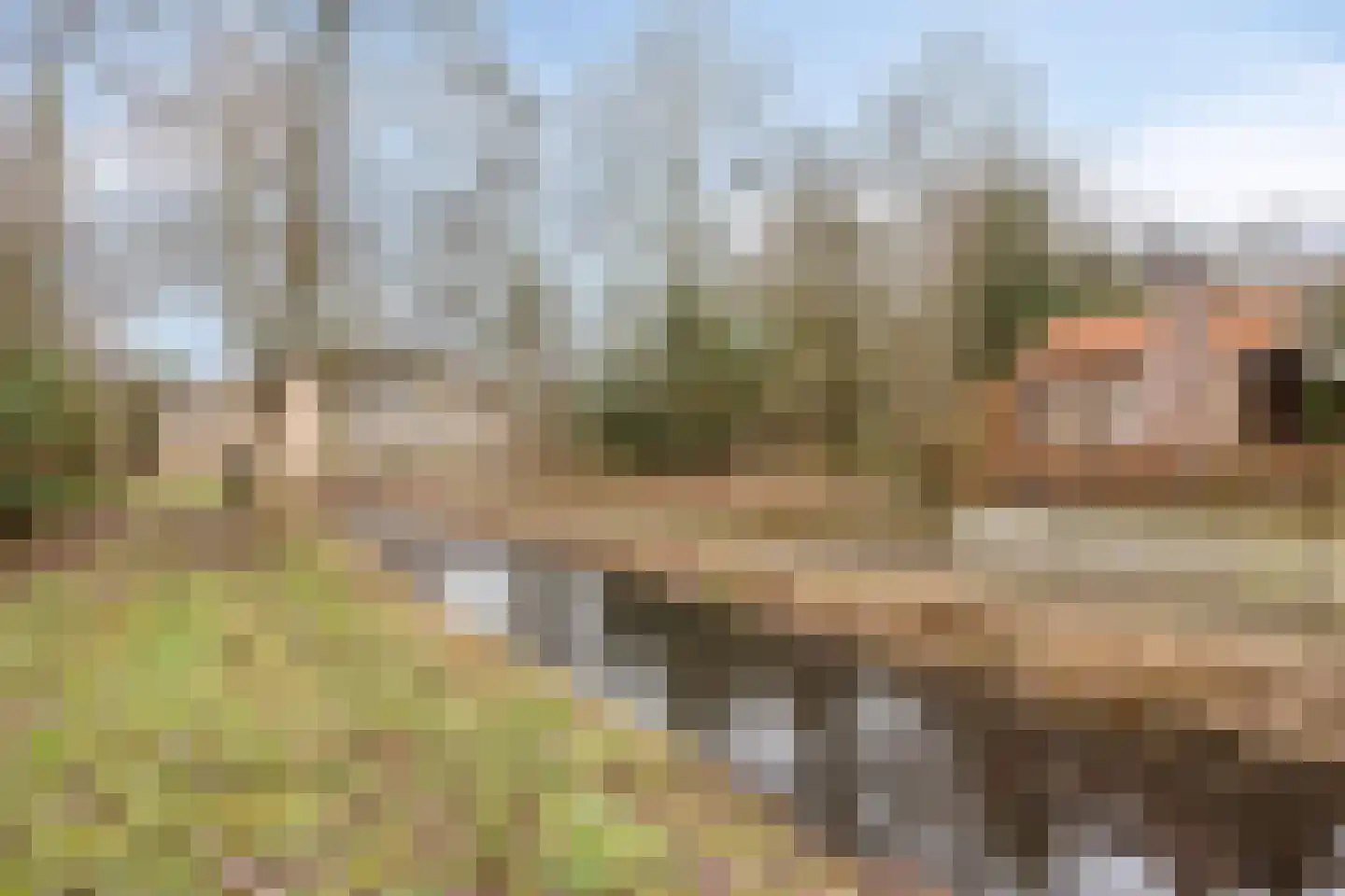 Stallinge 4 Berlicum thumbnail 45