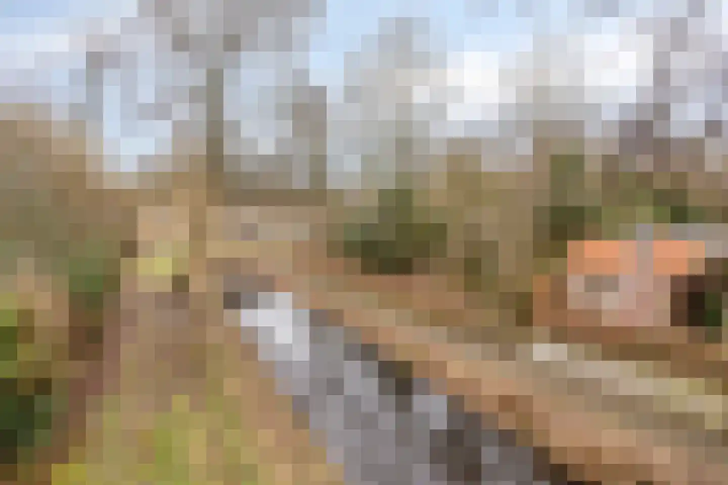 Stallinge 4 Berlicum thumbnail 46