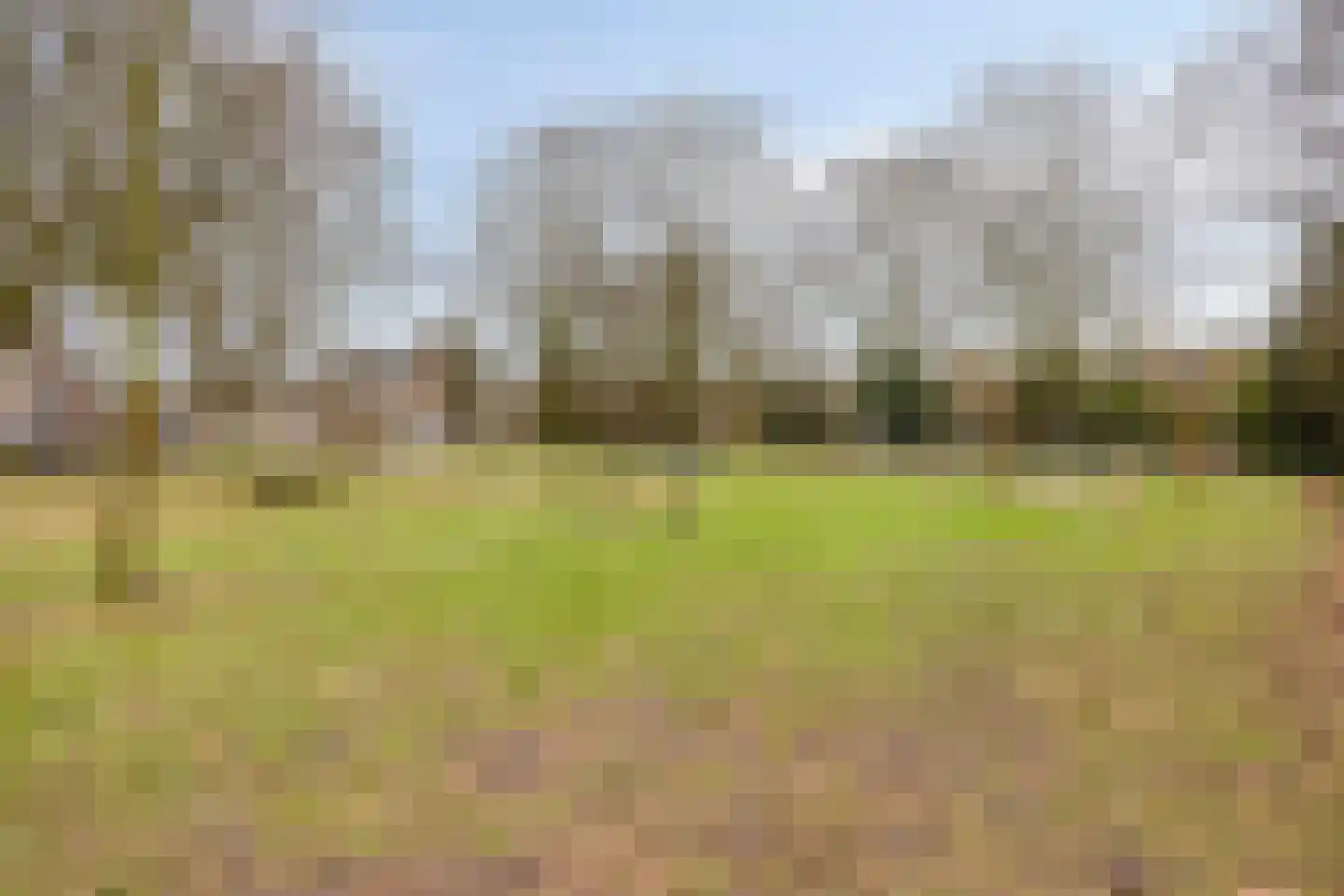 Stallinge 4 Berlicum thumbnail 47