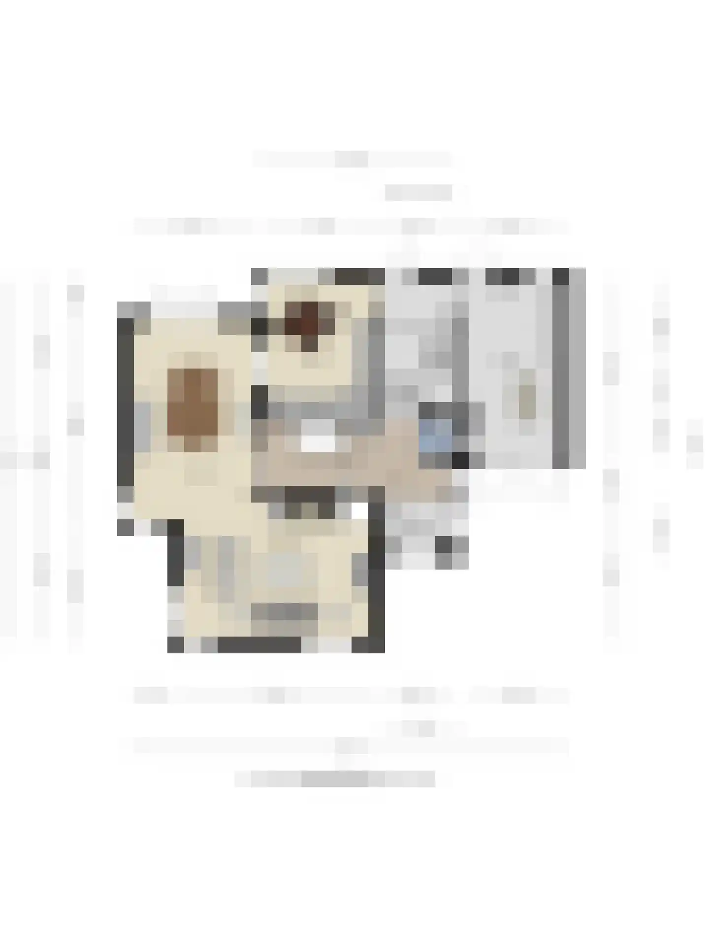 Stallinge 4 Berlicum thumbnail 48