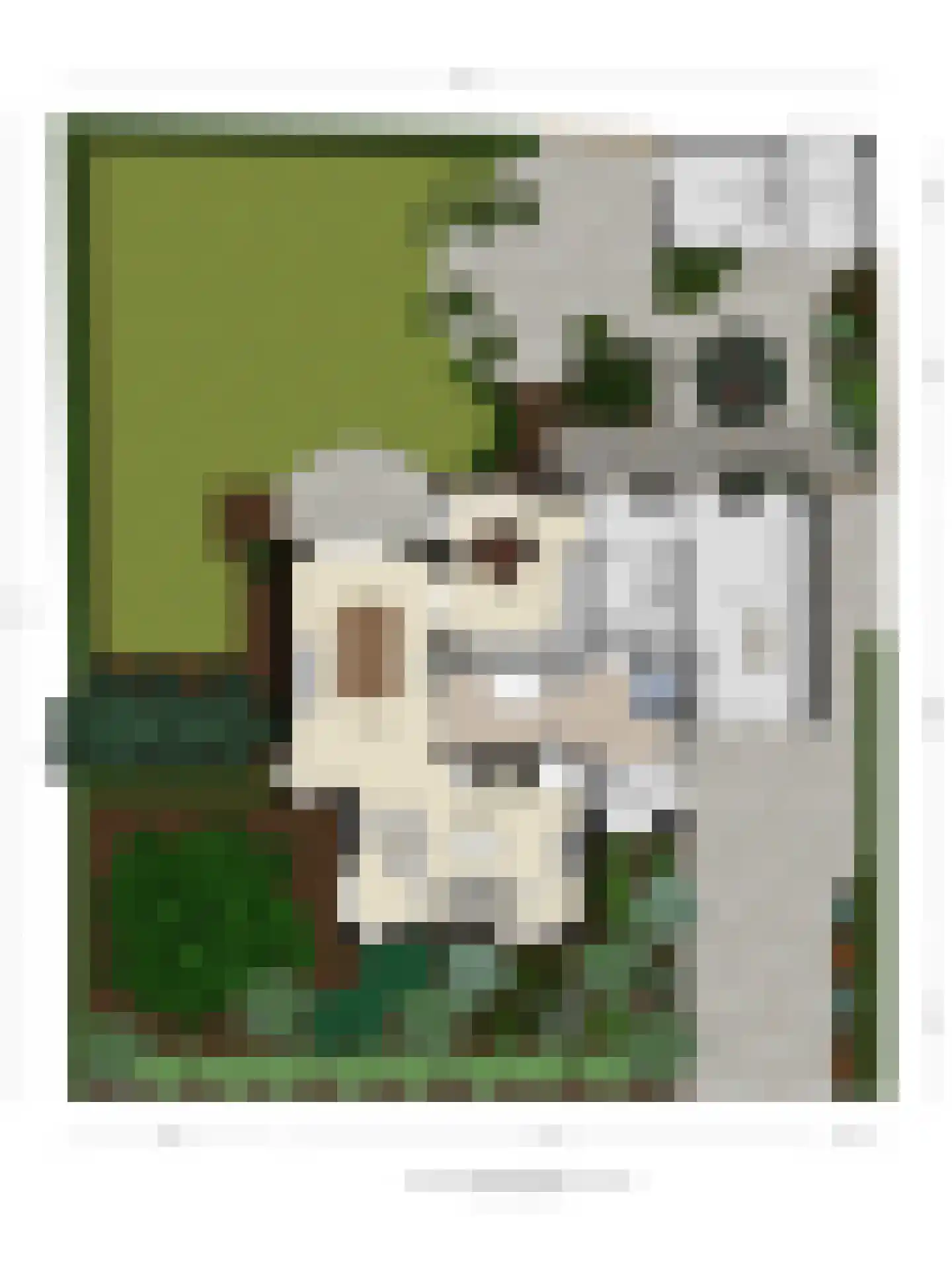 Stallinge 4 Berlicum thumbnail 49