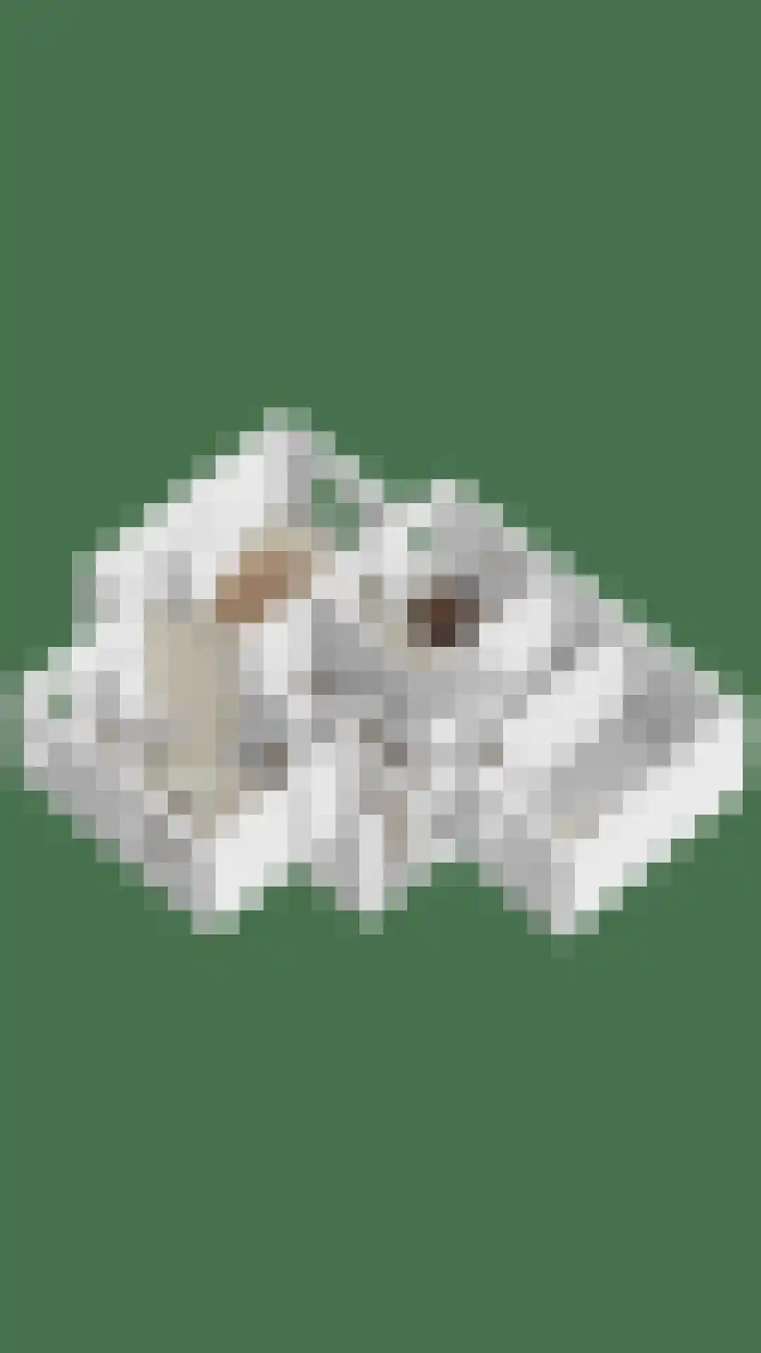 Stallinge 4 Berlicum thumbnail 54