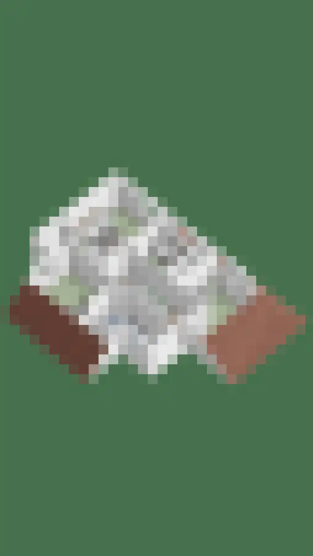 Stallinge 4 Berlicum thumbnail 55