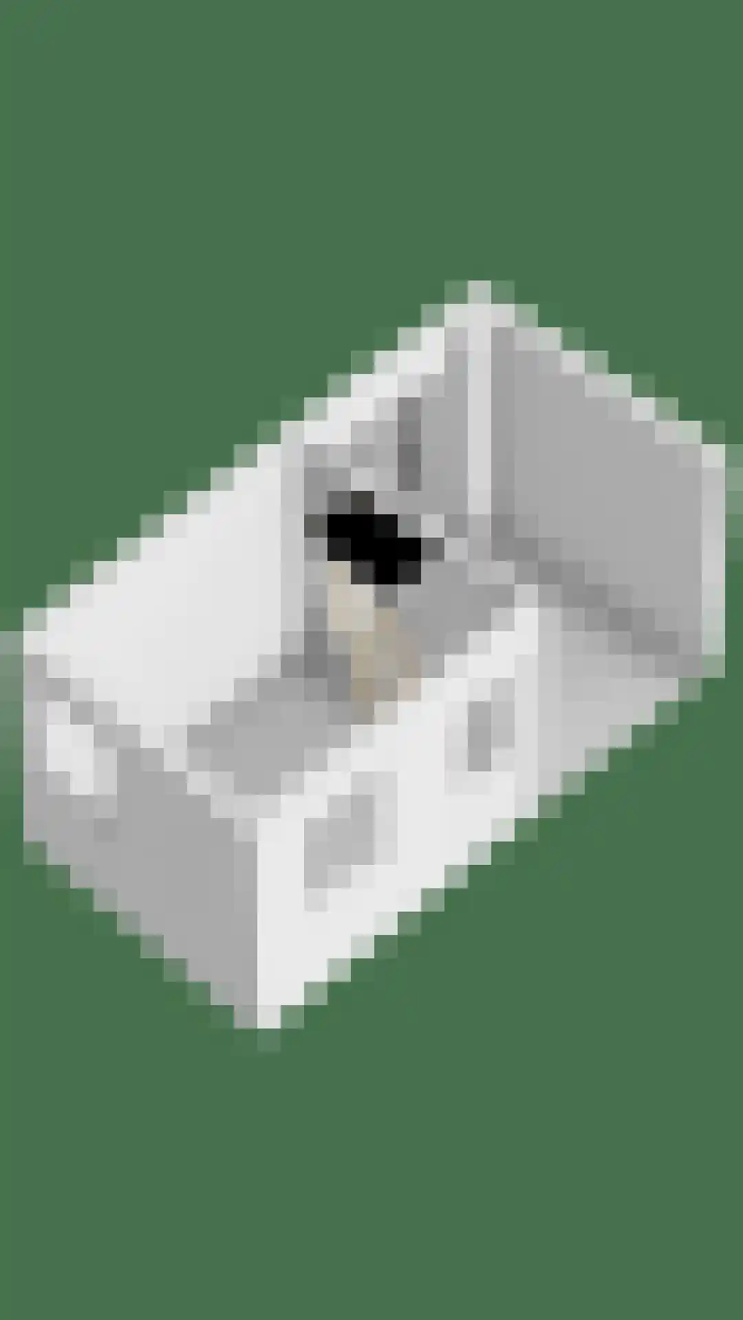 Stallinge 4 Berlicum thumbnail 57