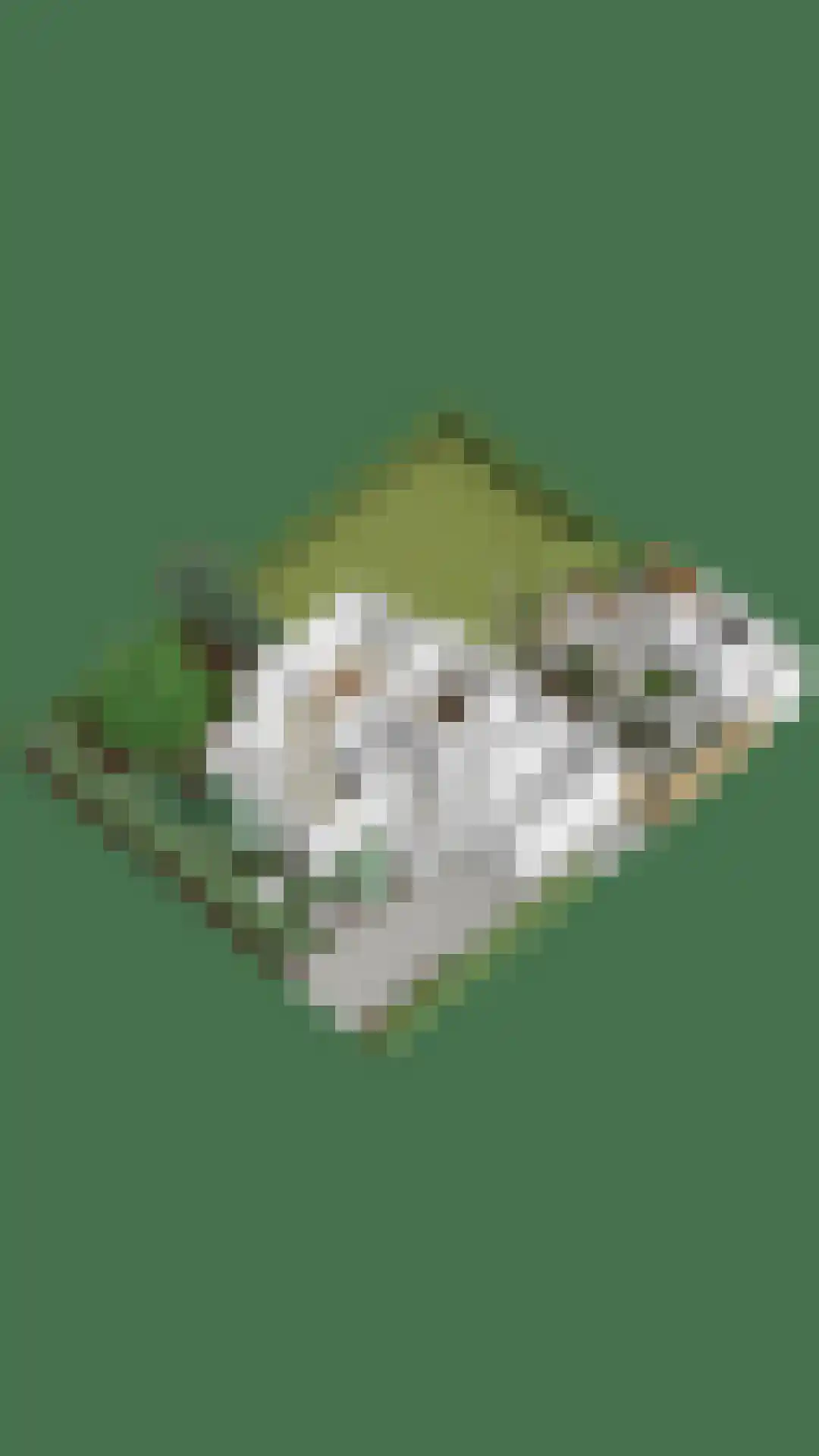 Stallinge 4 Berlicum thumbnail 59