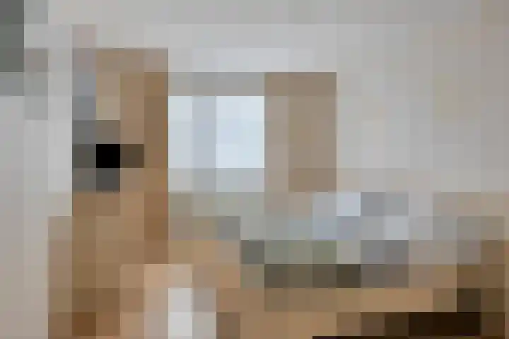 Stalmeesterslaan 17 Malden thumbnail 12