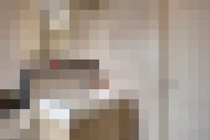 Stalmeesterslaan 17 Malden thumbnail 15