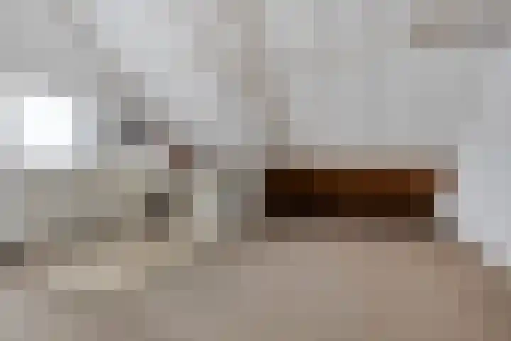 Stalmeesterslaan 17 Malden thumbnail 20