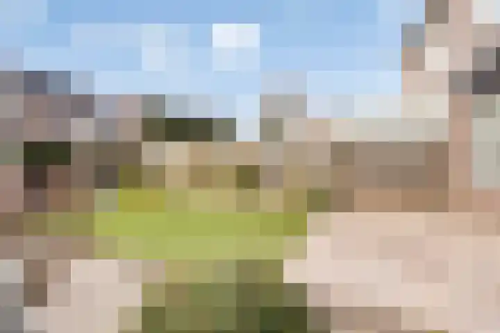 Stalmeesterslaan 17 Malden thumbnail 24