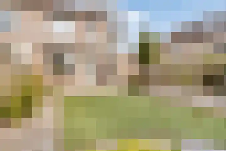 Stalmeesterslaan 17 Malden thumbnail 25