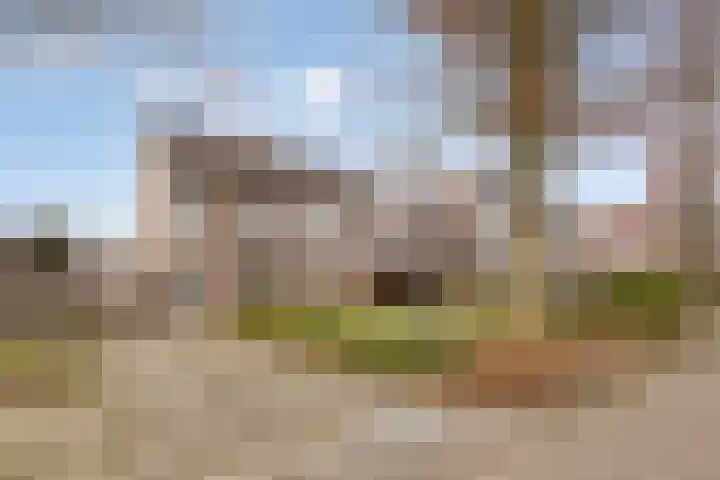 Stalmeesterslaan 17 Malden thumbnail 28