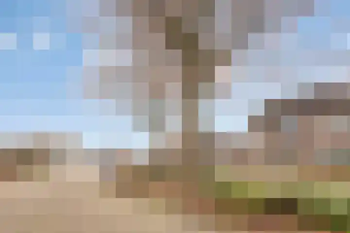 Stalmeesterslaan 17 Malden thumbnail 29
