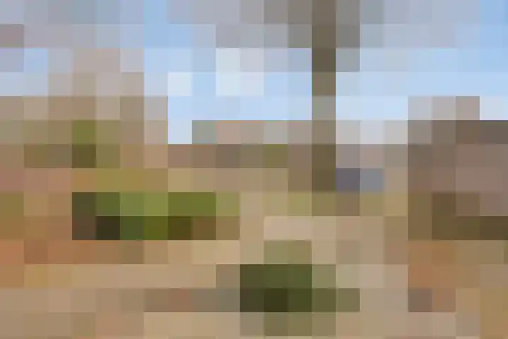 Stalmeesterslaan 17 Malden thumbnail 31