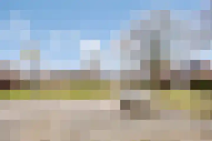 Stalmeesterslaan 17 Malden thumbnail 32
