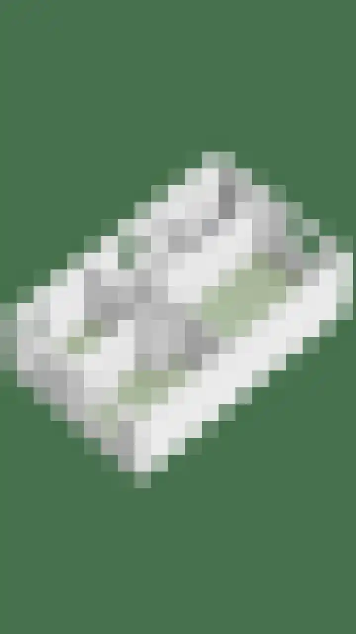 Stalmeesterslaan 17 Malden thumbnail 36