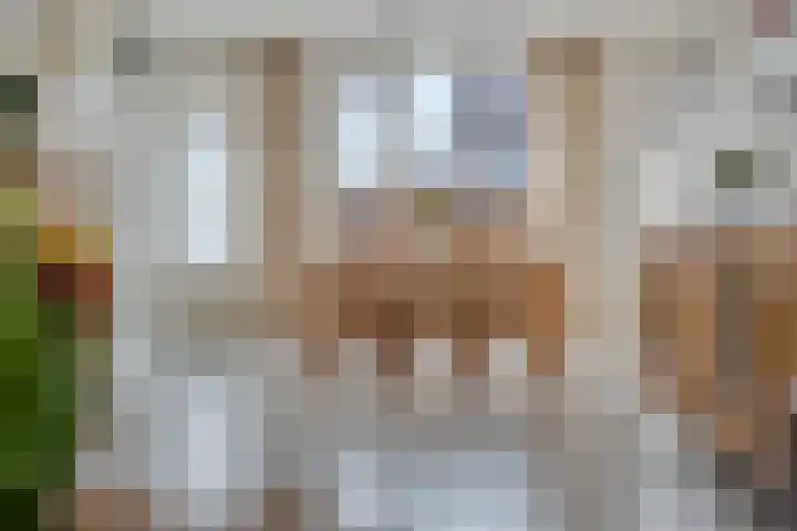 Stalmeesterslaan 17 Malden thumbnail 6