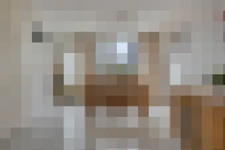 Stalmeesterslaan 17 Malden thumbnail 7
