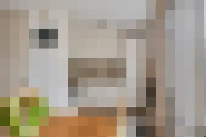 Stalmeesterslaan 17 Malden thumbnail 9