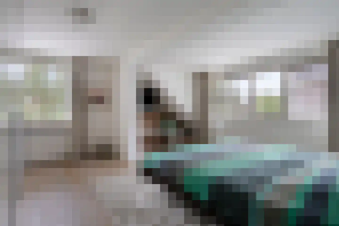 Stalmeesterslaan 54 Malden thumbnail 22