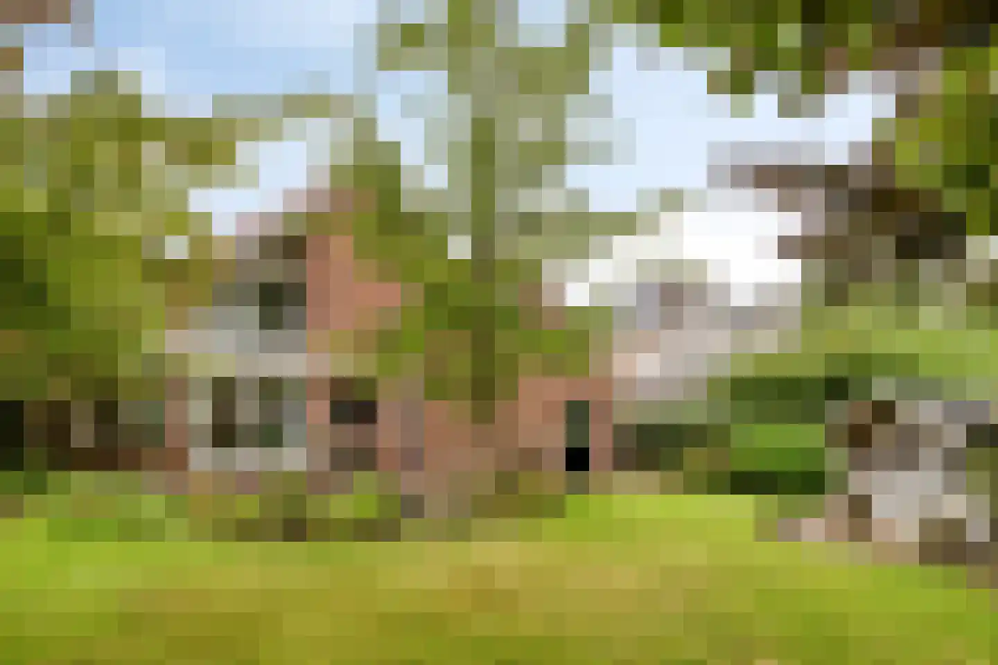 Stalmeesterslaan 54 Malden thumbnail 46