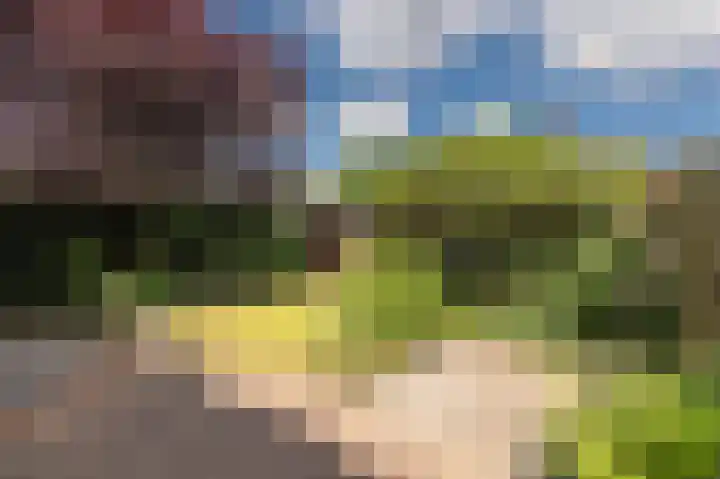 Stalmeesterslaan 62 Malden thumbnail 31