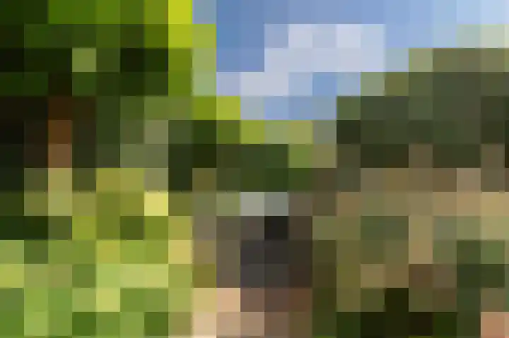Stalmeesterslaan 62 Malden thumbnail 32