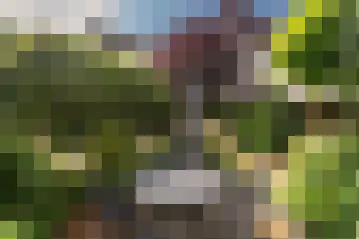 Stalmeesterslaan 62 Malden thumbnail 34