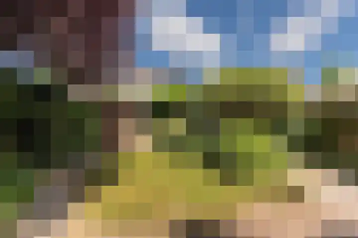 Stalmeesterslaan 62 Malden thumbnail 36