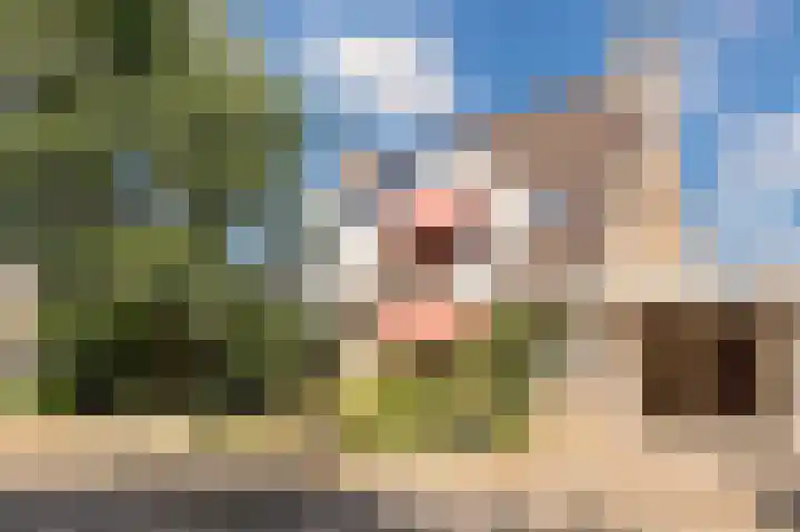 Stalmeesterslaan 62 Malden thumbnail 37