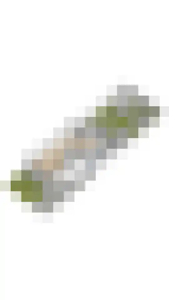 Stalmeesterslaan 62 Malden thumbnail 43