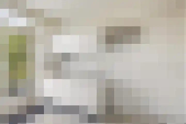 Stalnet 3 Hoogvliet Rotterdam thumbnail 11