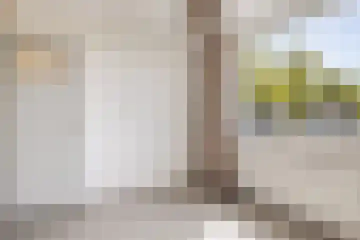 Stalnet 3 Hoogvliet Rotterdam thumbnail 19