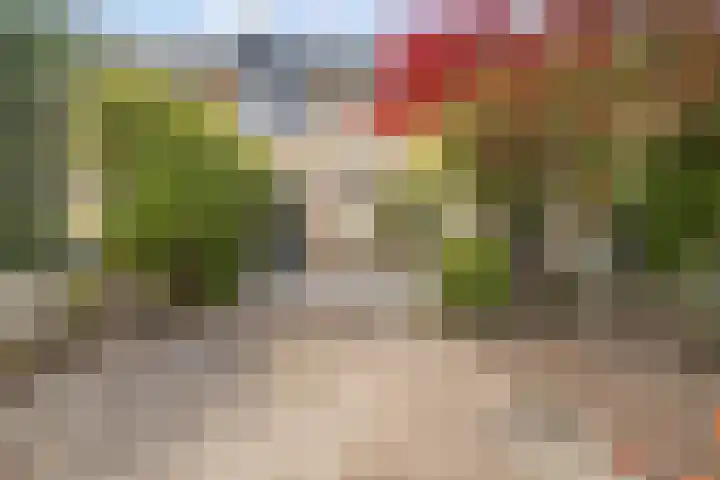 Stalnet 3 Hoogvliet Rotterdam thumbnail 25