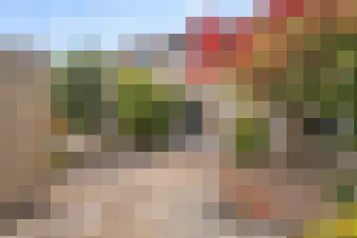 Stalnet 3 Hoogvliet Rotterdam thumbnail 26