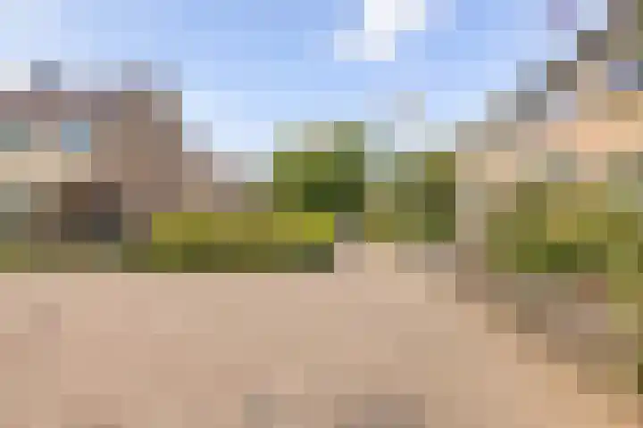 Stalnet 3 Hoogvliet Rotterdam thumbnail 29