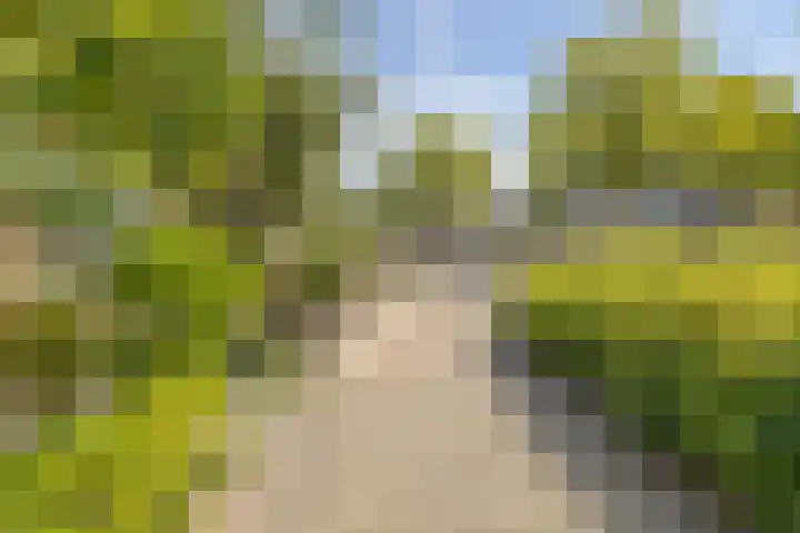 Stalnet 3 Hoogvliet Rotterdam thumbnail 32