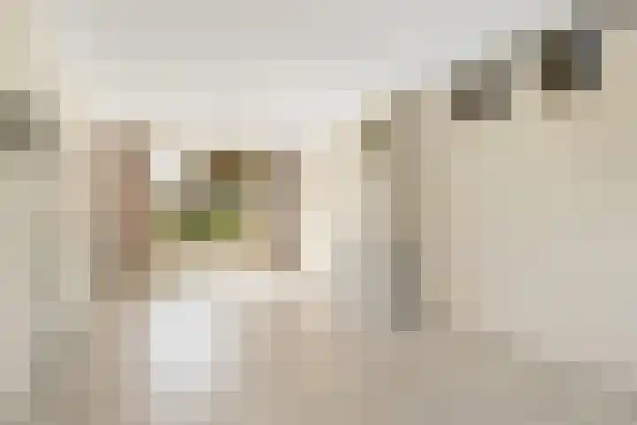 Stalnet 3 Hoogvliet Rotterdam thumbnail 4
