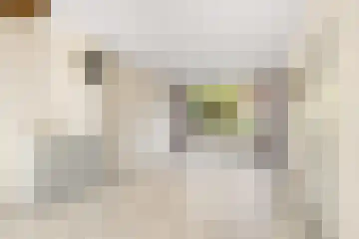 Stalnet 3 Hoogvliet Rotterdam thumbnail 9