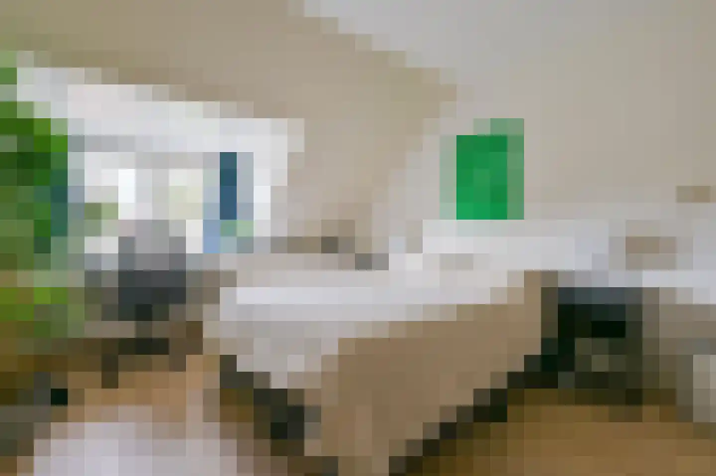 Stalpaert van der Wielenstraat 2 BS Utrecht thumbnail 11
