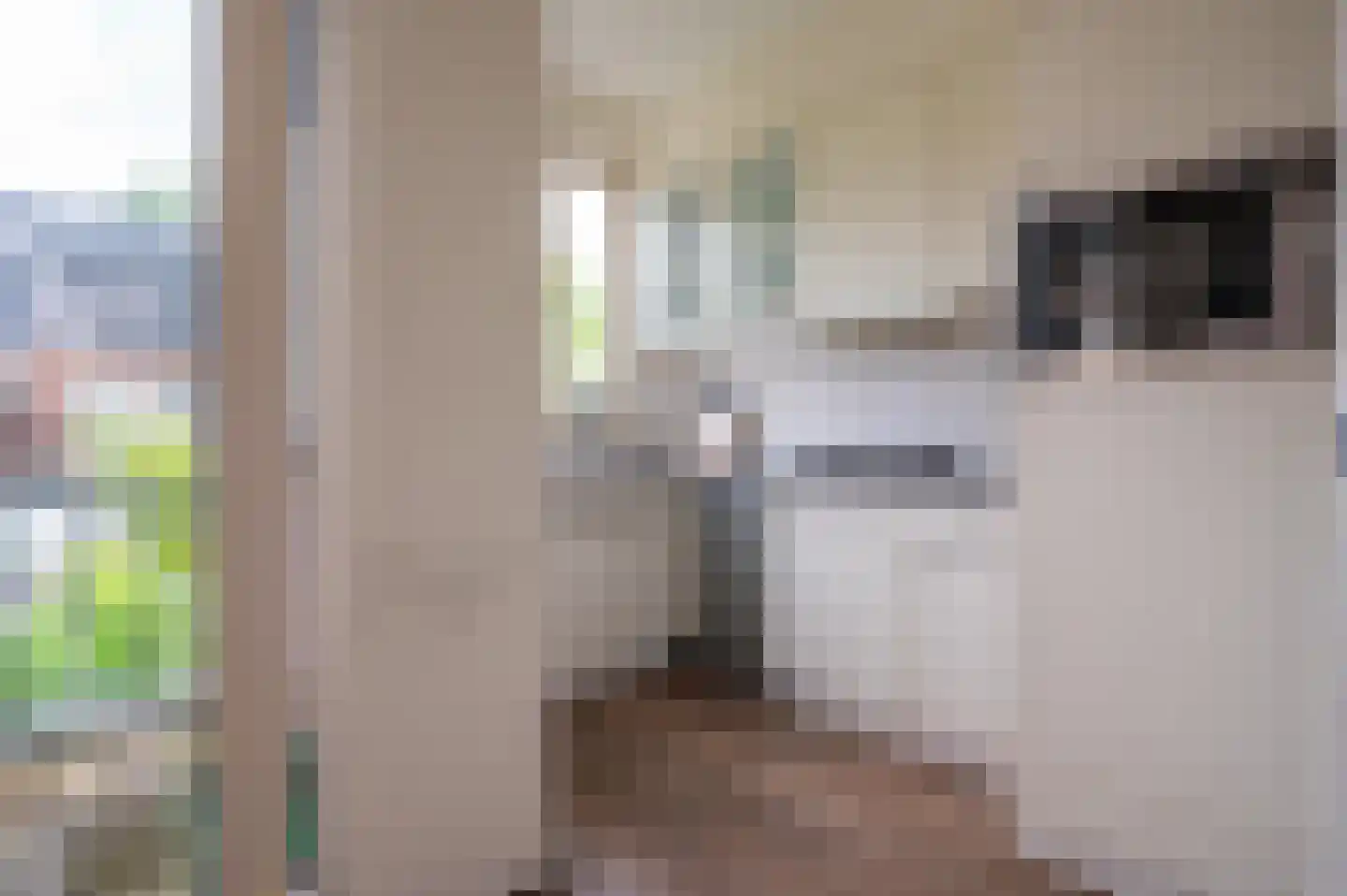 Stalpaert van der Wielenstraat 2 BS Utrecht thumbnail 7