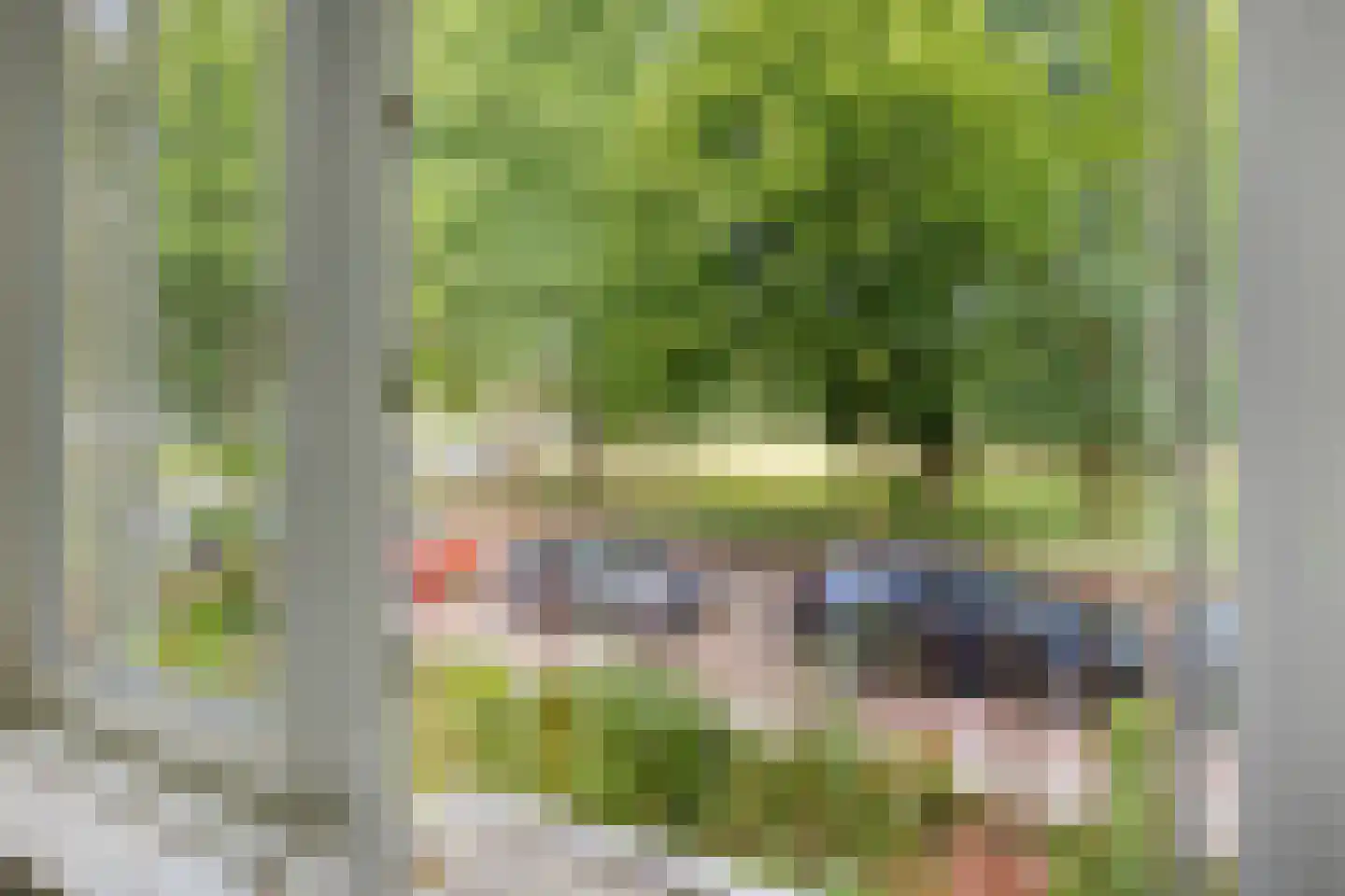 Stalpaert van der Wielenstraat 23 Deventer thumbnail 28