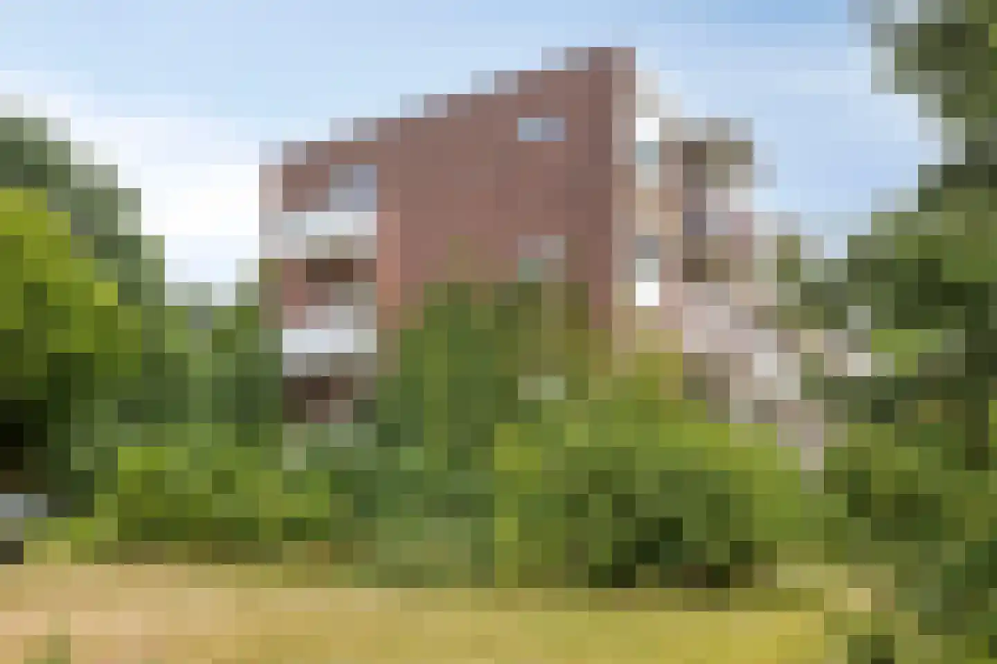 Stalpaert van der Wielenstraat 23 Deventer thumbnail 30