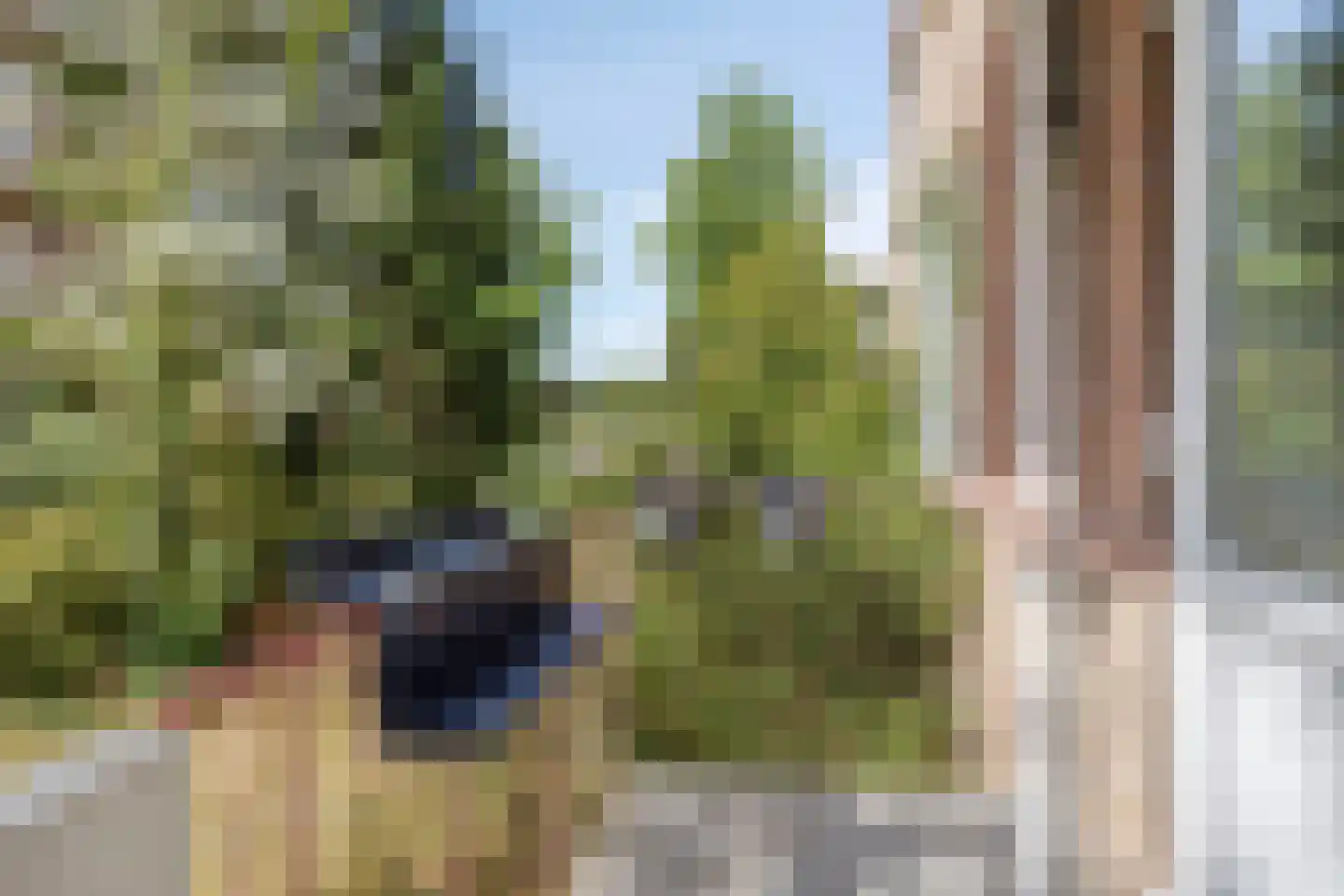Stalpaert van der Wielenstraat 23 Deventer thumbnail 7